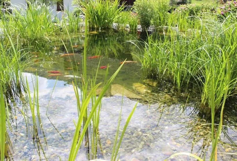 Отель Bäckerei Schranz