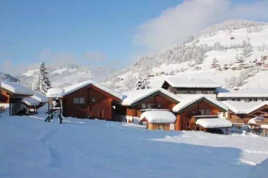 ホテル Feriendorf Wildschönau