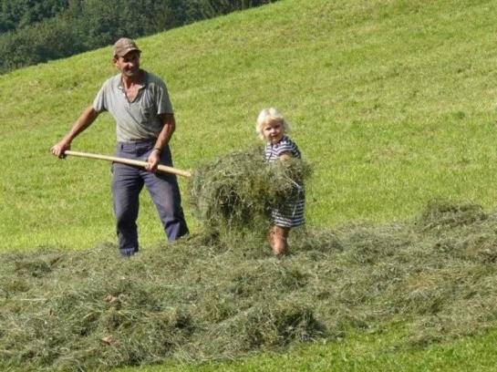 Отель Floachhof