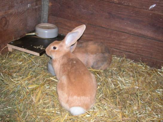 Отель Floachhof