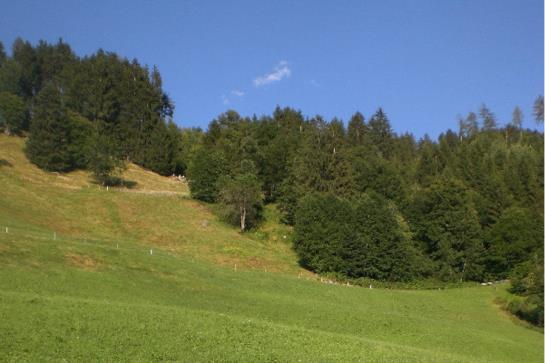 Отель Floachhof