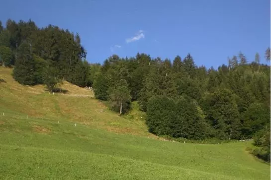 Отель Floachhof