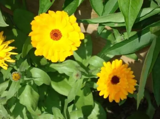 Отель Floachhof