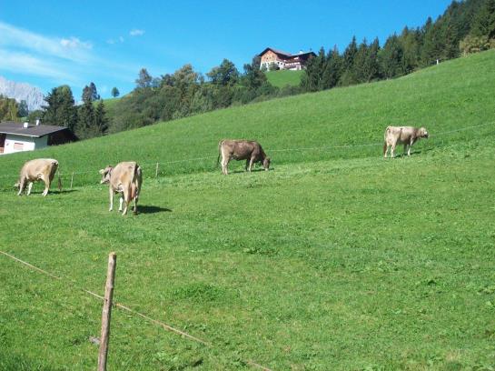 Отель Floachhof