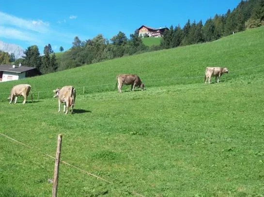 Отель Floachhof