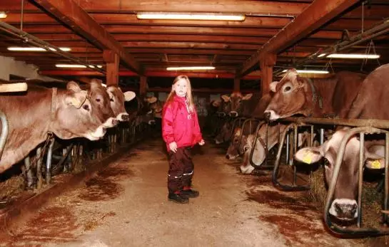 Отель Floachhof