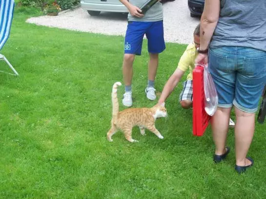 Отель Floachhof