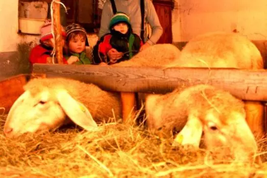 Отель Floachhof