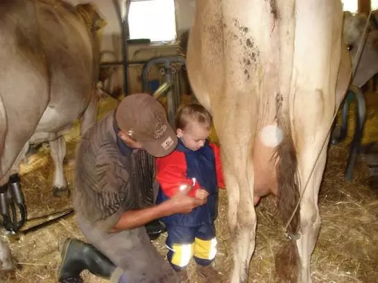 Отель Floachhof