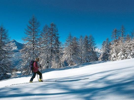 酒店 Haus Dabaklamm