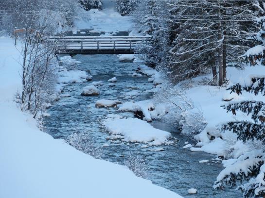 酒店 Haus Dabaklamm