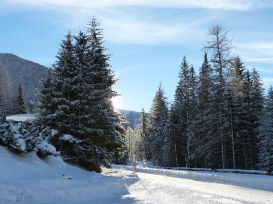 酒店 Haus Dabaklamm