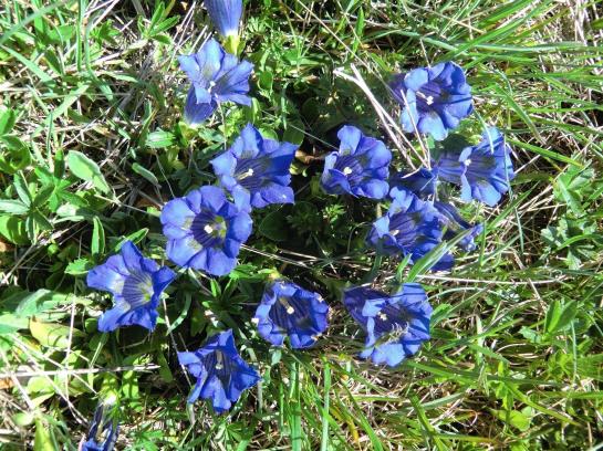 酒店 Haus Dabaklamm