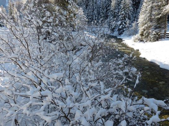 酒店 Haus Dabaklamm