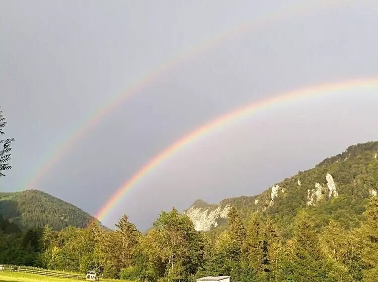 Отель Haus Salvenmoser