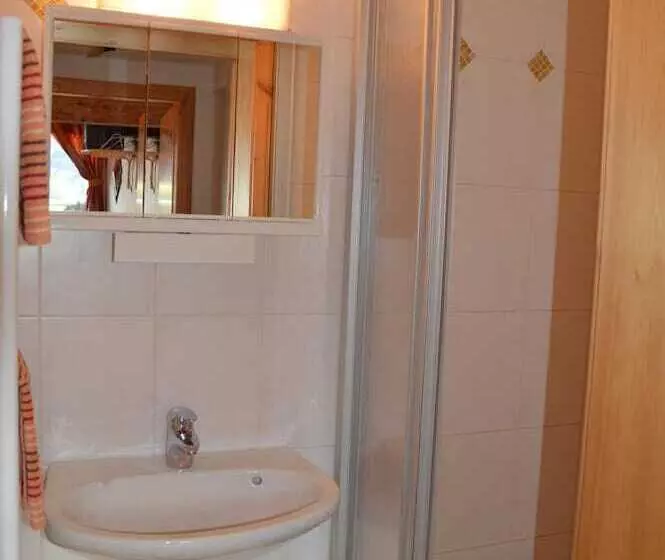 Отель Haus Salvenmoser