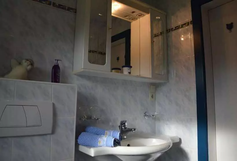 Отель Haus Salvenmoser