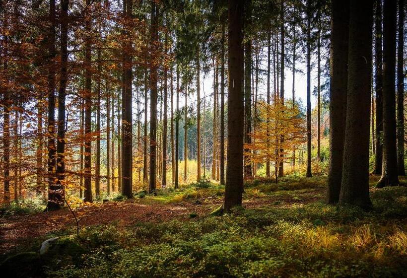 ホテル Leonfeldner Hof