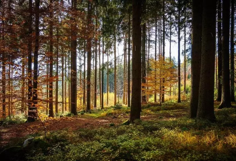 ホテル Leonfeldner Hof