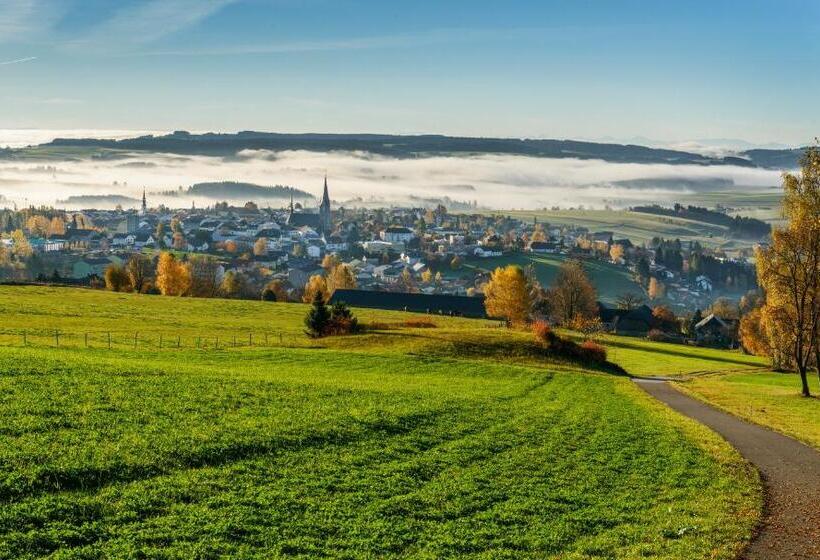 ホテル Leonfeldner Hof