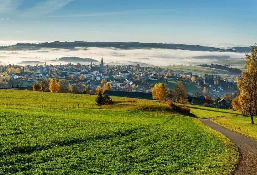 ホテル Leonfeldner Hof