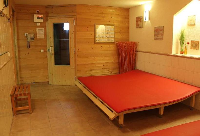 Отель Lohninger Schober