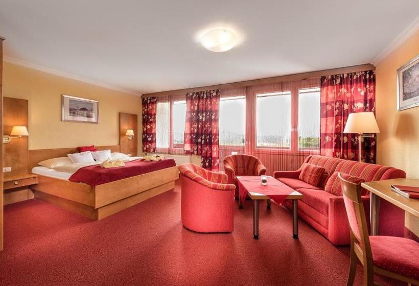 Отель Lohninger Schober