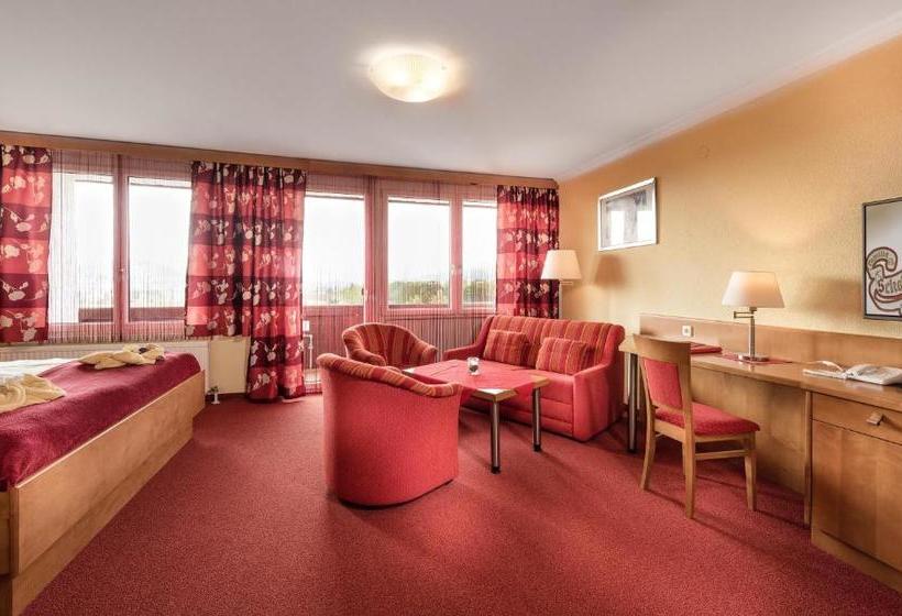 Отель Lohninger Schober