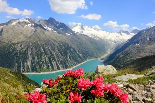 ホテル Schwarzer Adler