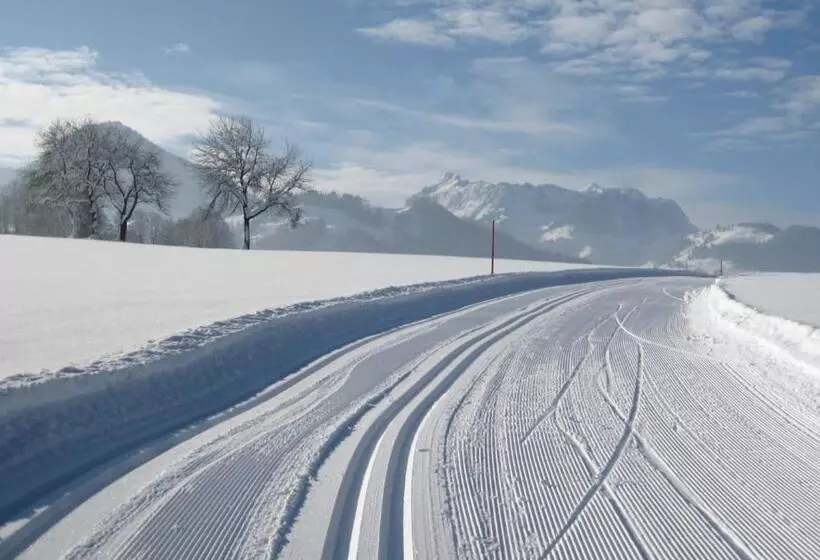 酒店 Sonnenhof Walchsee