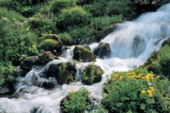 فندق S´waldhaus