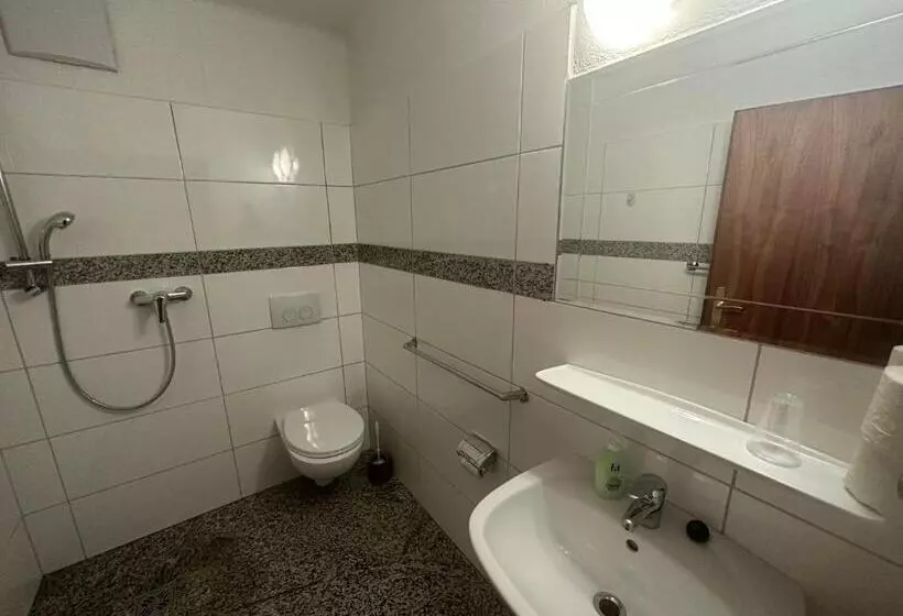 בית מלון כפרי Torrenerhof