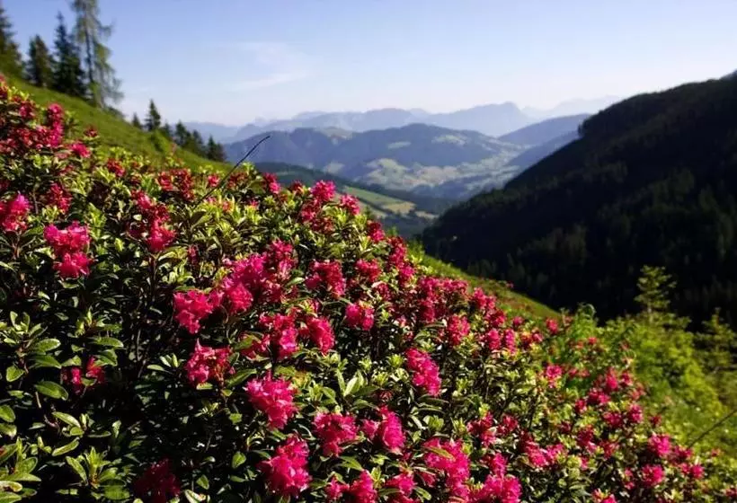 酒店 Traditionsgasthof Weißbacher
