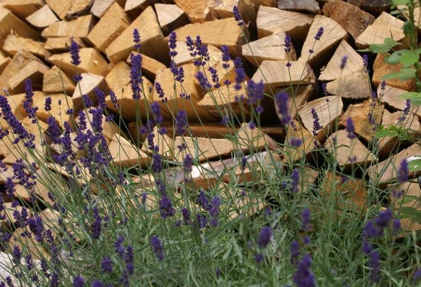 فندق Zum Goldenen Löwen