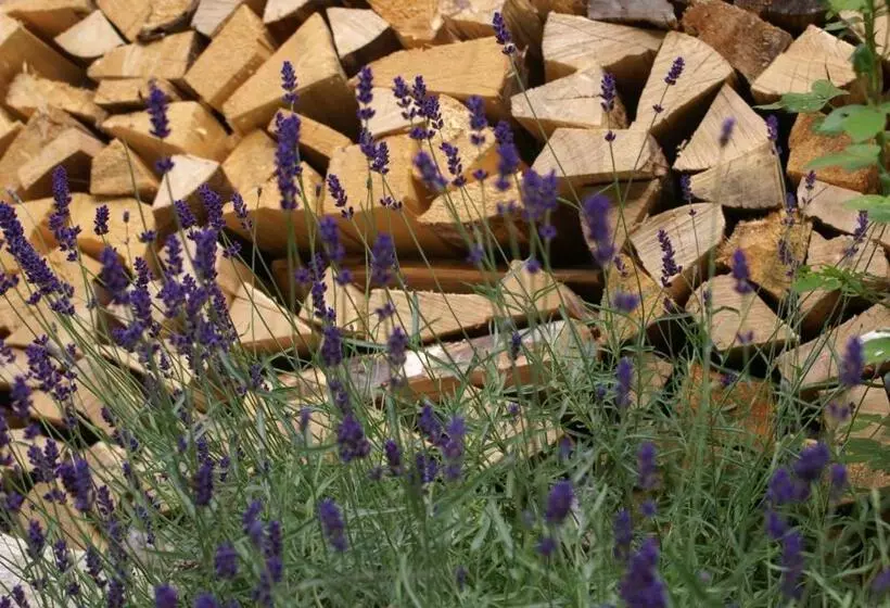 ホテル Zum Goldenen Löwen