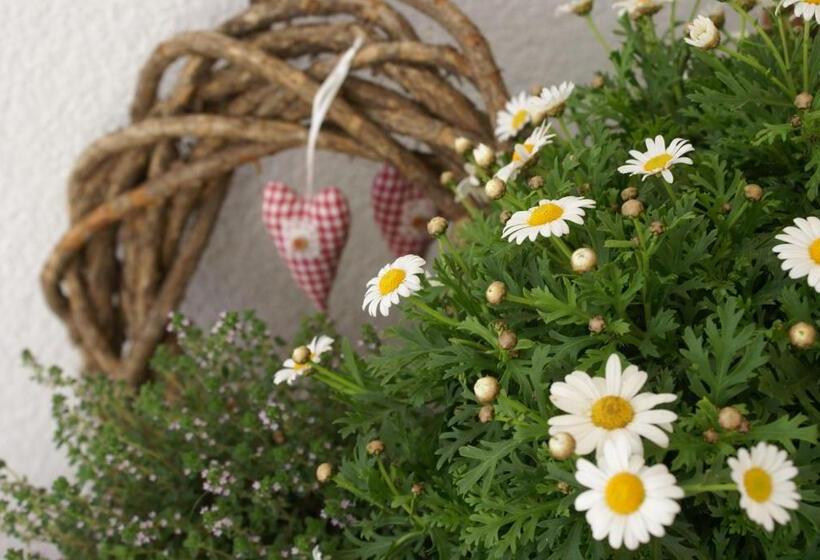 فندق Zum Goldenen Löwen