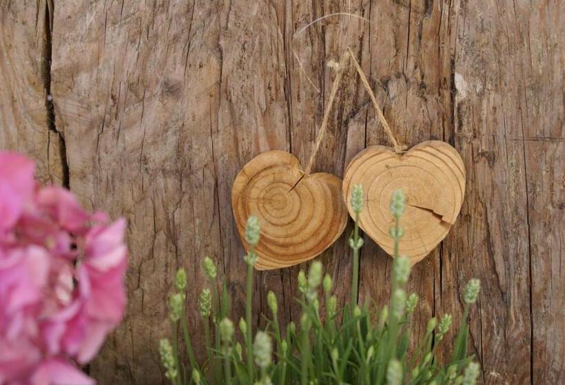 فندق Zum Goldenen Löwen