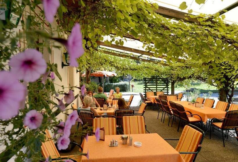 膳宿费 Landgasthof Mauth