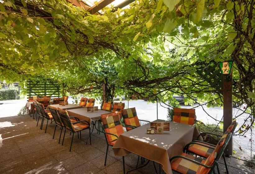 膳宿费 Landgasthof Mauth