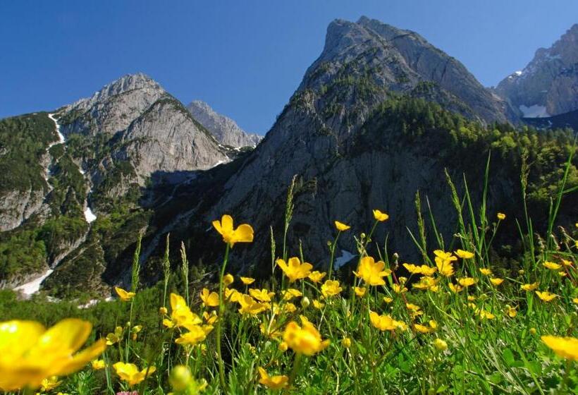 膳宿费 Landgasthof Mauth