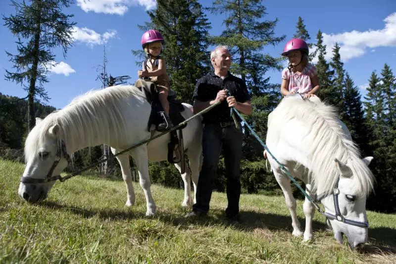 渡假胜地 Familienhotel Hinteregger