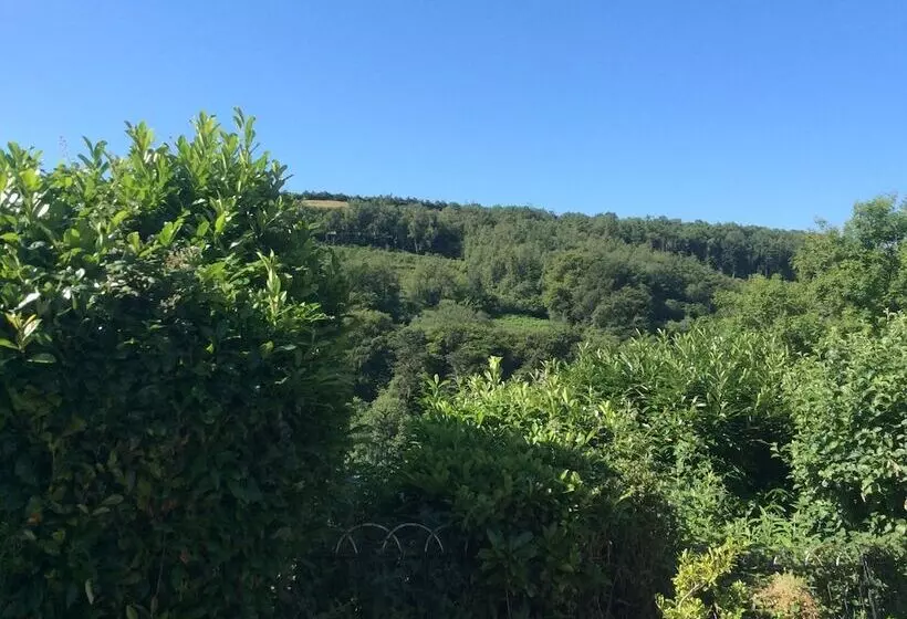 Charming 3 Bed Cottage Exmoor Near Barnstaple