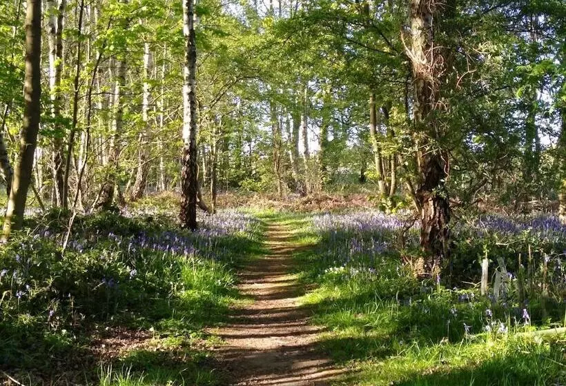 Hotelli Hollicarrs Long Lane Lodge