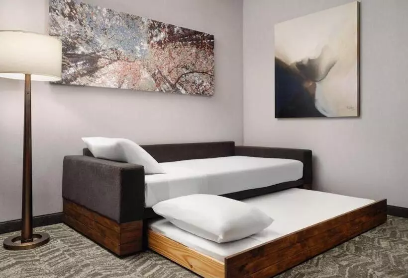 Hotelli Springhill Suites By Marriott Milpitas Silicon Valley