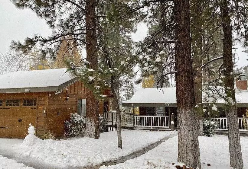 Big Wood Pines