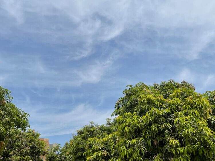 Hotel The Postcard Gir Wildlife Sanctuary