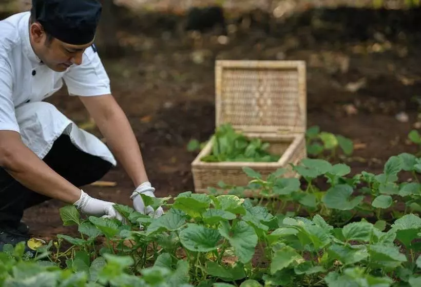 Hotelli The Postcard Gir Wildlife Sanctuary