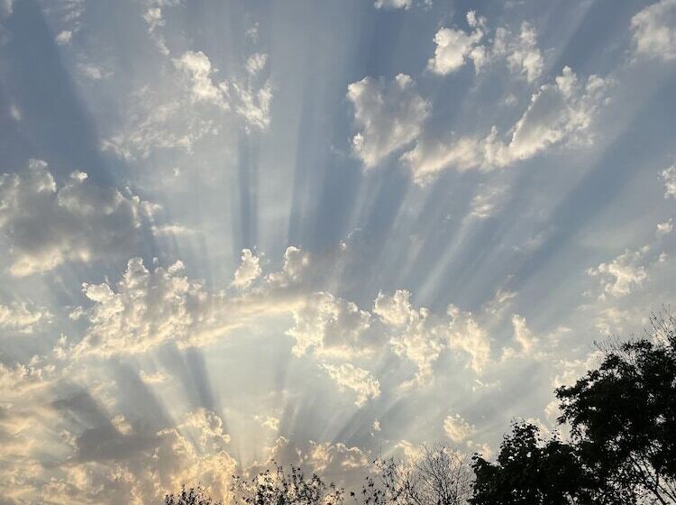 Hotel The Postcard Gir Wildlife Sanctuary