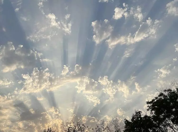 Hotelli The Postcard Gir Wildlife Sanctuary