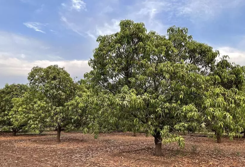 Hotelli The Postcard Gir Wildlife Sanctuary